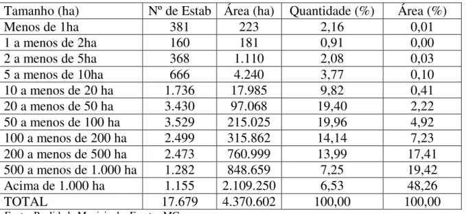 Tabela  6  -  Estrutura  Fundiária  do  Território  do  Noroeste  de  Minas  no  ano  de  2000 