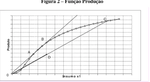 Figura 2  –  Função Produção 