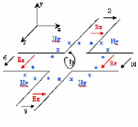 Figura 3.4 – Linhas de Transmissão no plano XZ 