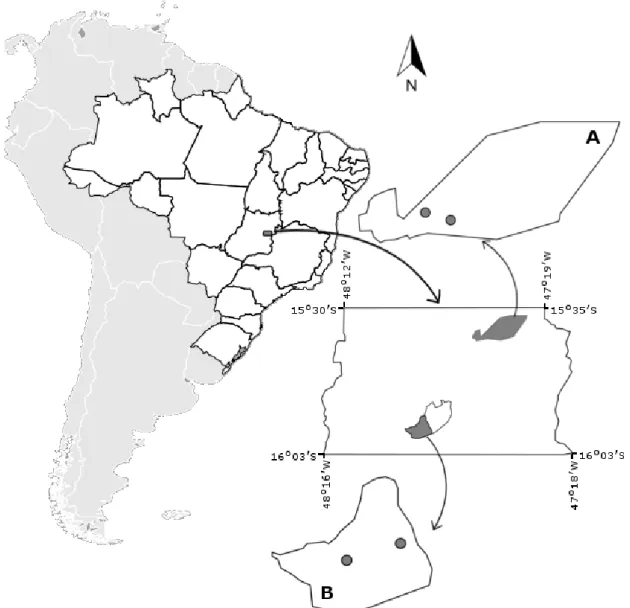 Figure 1.  Gallery forests studied from different streams (circles) on different areas (apart 40  km) in the Federal District, Brazil