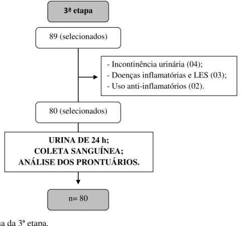 Figura 3 - Fluxograma da 3ª etapa. 