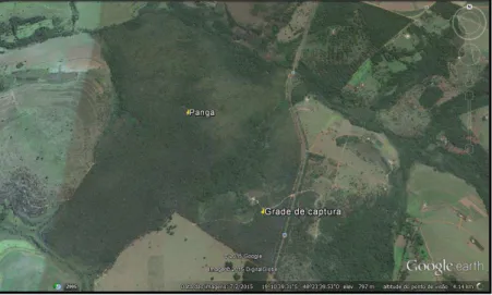 Figura  3:  Demarcação  da  Estação  Ecológica  do  Panga,  Uberlândia, MG, indicando o posicionamento da grade de captura,  no período de 2011 a 2015