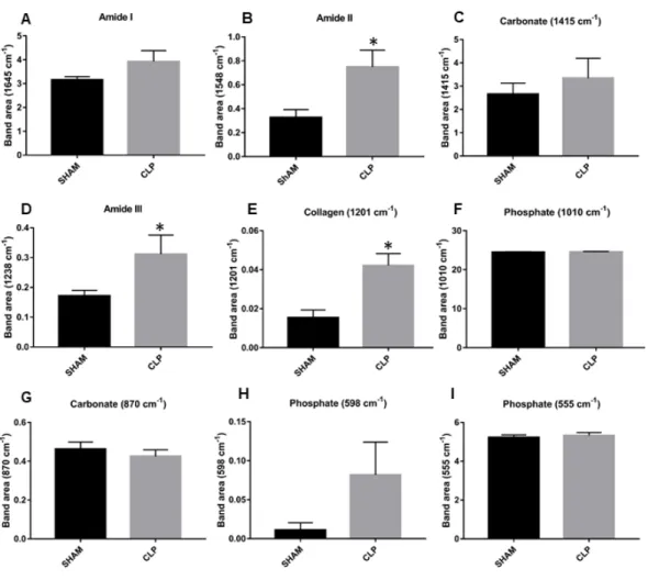 Figure  2.  FTIR  compositional  results.    Bone  components  evaluated  in  tibia  of  7  SHAM and CLP rats (n = 7)