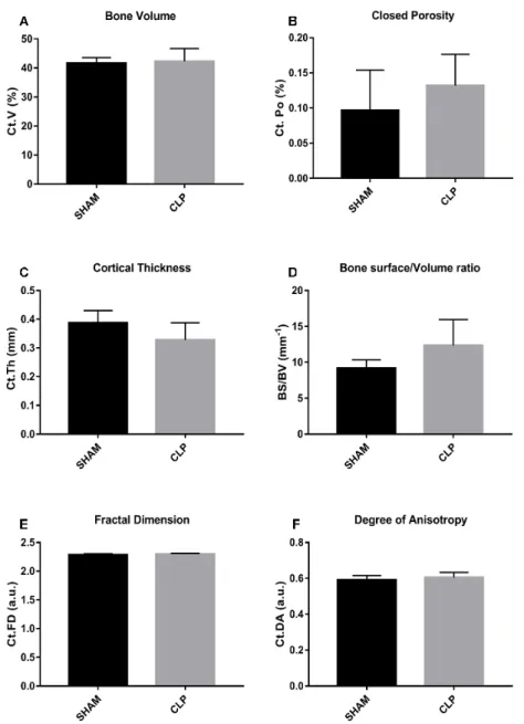 Figure 7. Micro-CT parameters. Bone Quality Parameters evaluated in the Micro-CT  in tibias of 4 SHAM and CLP rats (n = 4) and analyzed by the t-Student parametric test  (p < 0.05)