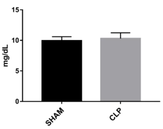 Figure  8.  Calcium  concentration  in  plasma.  Mean  ±  SEM  of  the  plasma  calcium  dosage performed in the tibia of 6 Sham and CLP rats (n = 6) animals and analyzed by  t- Student' parametric test (p < 0.05)