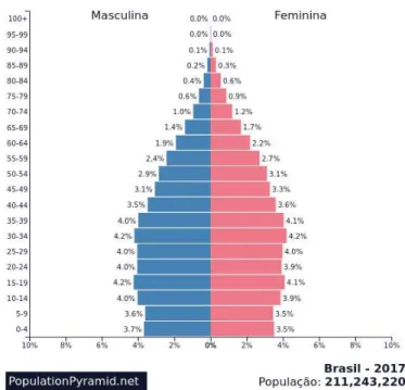 Figura 2  –  Pirâmide demográfica brasileira em 2017 
