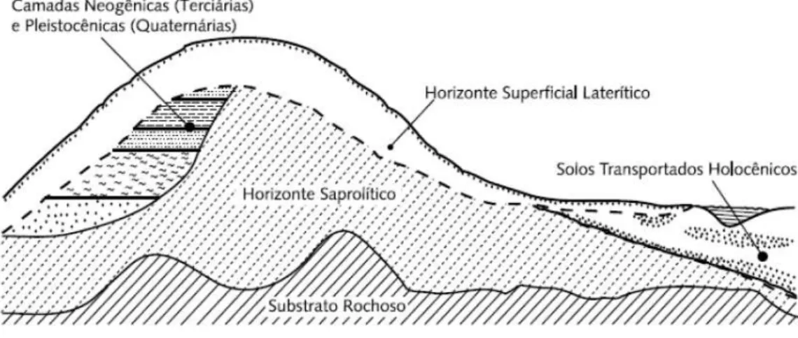 Figura 1 - Perfil esquemático de ocorrência de solos em ambiente tropical 