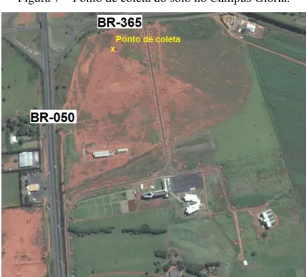 Figura 7  –  Ponto de coleta do solo no Campus Glória. 