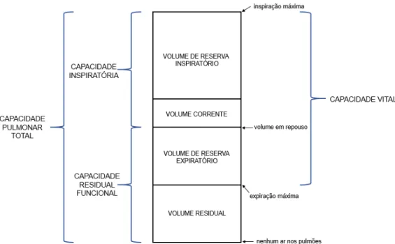 Figura 2 – Volumes e capacidades pulmonares padronizados. Adaptado de Levitzky (2008).