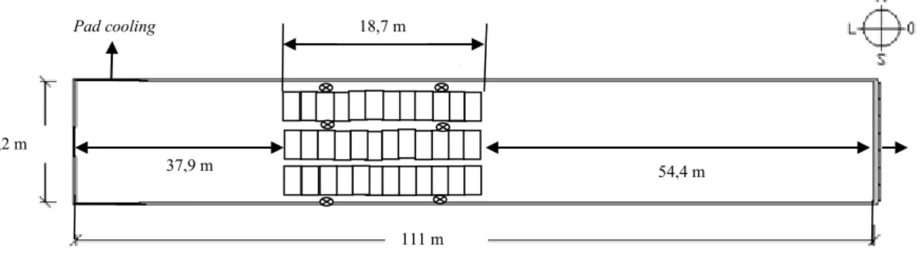 Figura 1. Representação esquemática do galpão com resfriamento evaporativo com pressão negativa e os 120  dataloggers  121  122  123  37,9 m10,2 m  111 m  54,4 mPad cooling18,7 m exaustores