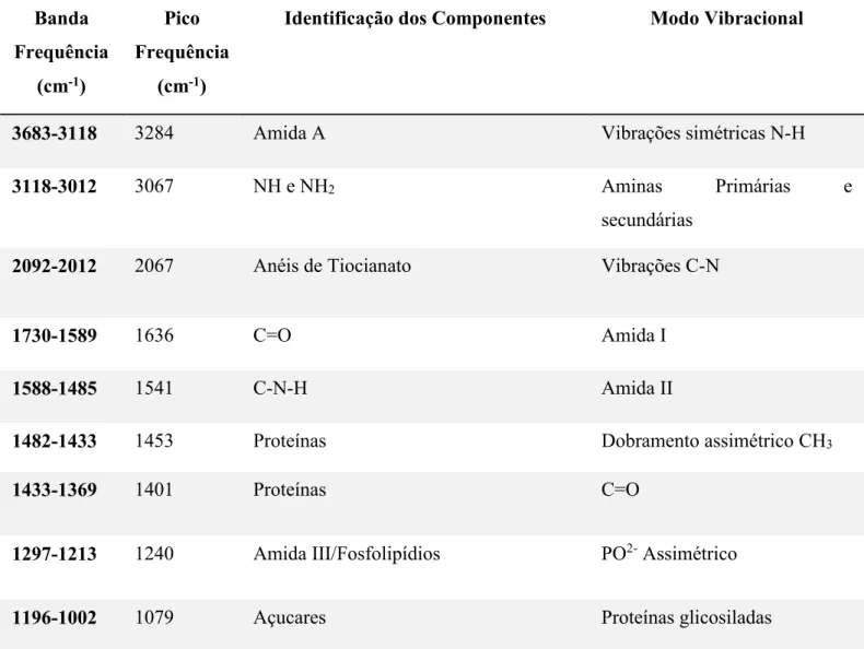 Tabela  1.  Frequência  da  banda,  pico  da  banda,  identificação  de  componentes  e  modo  vibracional da saliva por FTIR