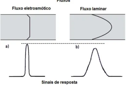 Figura 18 - Perfis dos fluxos eletrosmótico (a) e laminar (b), e suas correspondentes  zonas de amostras