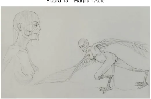 Figura 13  –  Harpia - Aelo 