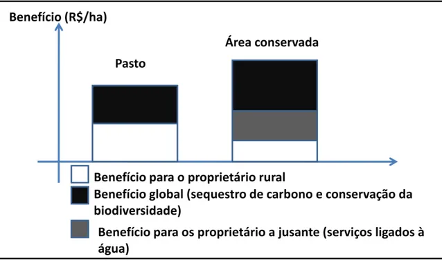 Gráfico 2 - Comparação entre benefício econômico social e privado. 