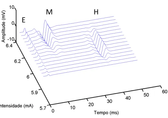 Figura  3:    Respostas  reflexas  e  ondas  M  apresentadas  na  Figura  2  com  o  eixo  mostrando  as  intensidades  de  estímulo