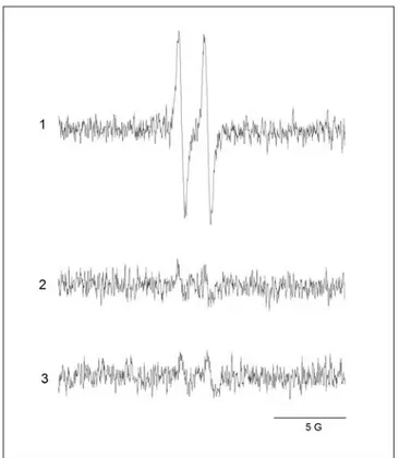 Figura 13: Representação gráfica do sinal do radical ascorbil obtido no aparelho de EPR