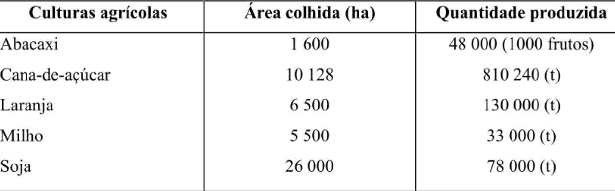 Tabela 04  –  Frutal (MG) – Produção agrícola, 2007 