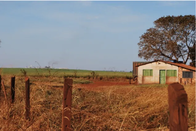 Foto 01  –  Propriedade rural cercada pela cana-de-açúcar e Usina Cerradão  