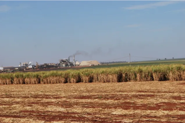 Foto 02 – Parte da área cultivada da cana-de-açúcar e área industrial Usina Cerradão 
