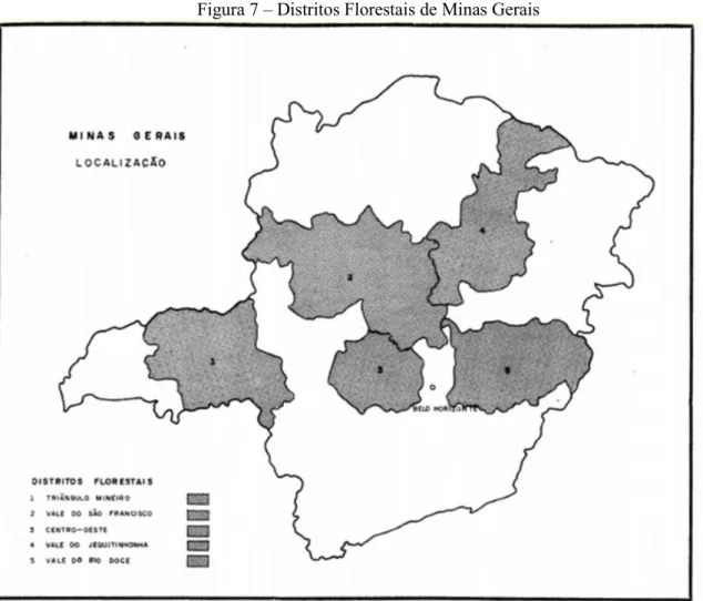 Figura 7  –  Distritos Florestais de Minas Gerais 