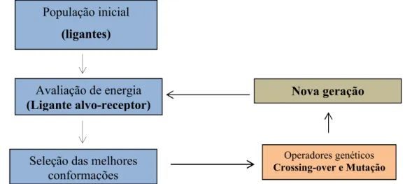 Figura 16- Esquema de funcionamento do algoritmo genético utilizado no programa AutoDock 4.0.