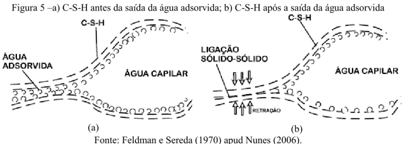 Figura 5  – a) C-S-H antes da saída da água adsorvida; b) C-S-H após a saída da água adsorvida 