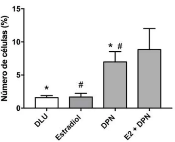 Figura  4  -  Avaliação  do  número  de  células  CD24-CD49f+  na  população  das  MCF-7  tratadas  ou  não  com  DPN(1uM) e estradiol(1nM) por 96 horas