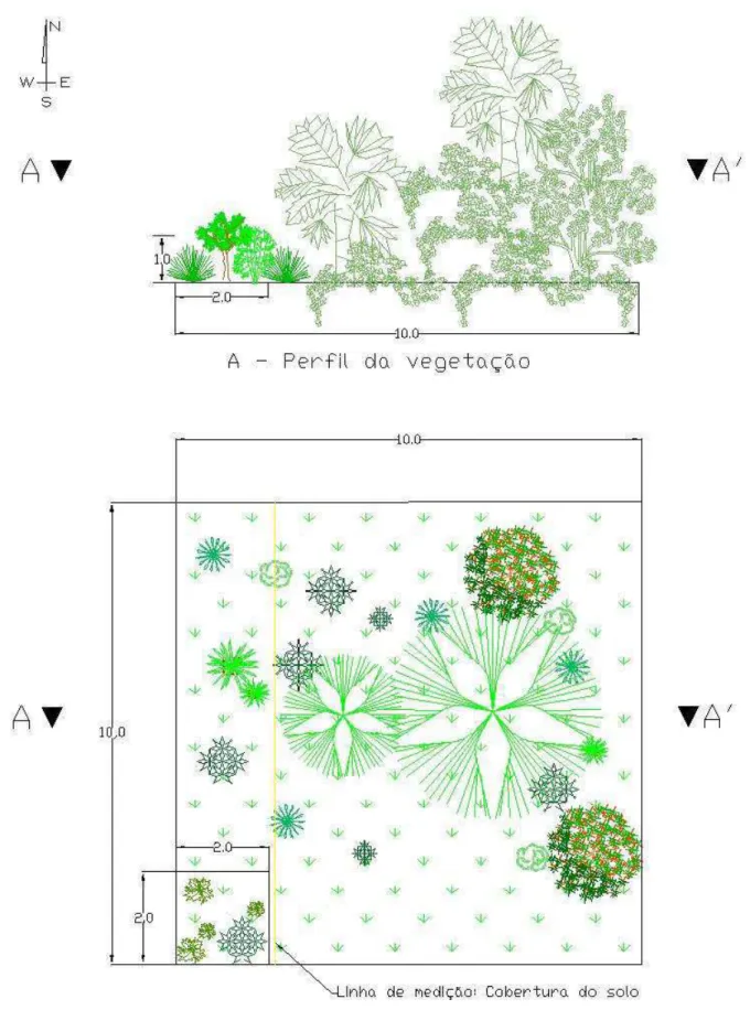 Figura  2.  Representação  esquemática  do  método  de  parcelas  para  amostragem  da  vegetação  lenhosa  em  ecossistemas de vereda