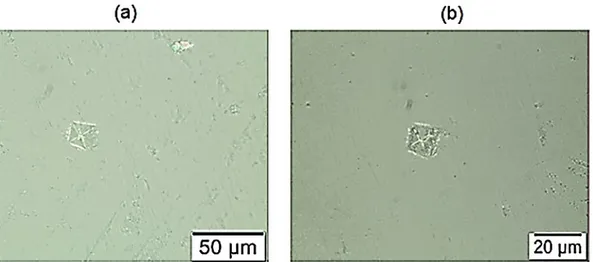 Figura 20  –  Micrografias de indentações realizadas no primeiro dente com carga máxima de  penetração (a) de 1N e (b) de 0,5N (AUTORIA PRÓPIA) 