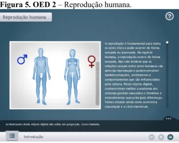Figura 5. OED 2 – Reprodução humana.  