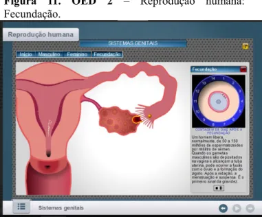 Figura  11.  OED  2  –  Reprodução  humana: 