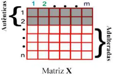 Figura 9 – Representação da matriz de dados X e o vetor de classes y usados no PLS-DA