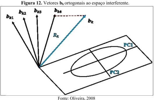 Figura 12. Vetores b k  ortogonais ao espaço interferente. 