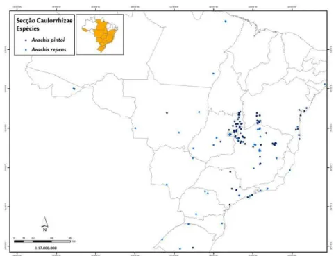 Figura  5. Amplitude da distribuição pontual das espécies  da  secção  Caulorrhizae ao longo dos Estados  brasileiros