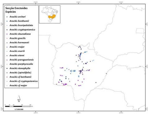 Figura  6.  Amplitude  da  distribuição  pontual  das  espécies  da  secção  Erectoides  ao  longo  dos  Estados  brasileiros