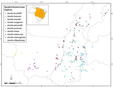 Figura  8. Amplitude da distribuição pontual das espécies  da  secção  Heteranthae  ao longo dos Estados  brasileiros