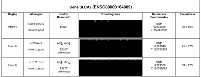 Figura 8: Resumo dos polimorfismos encontrados no gene SLC4A2 no paciente 3.  Seqüência de referência do DNA genômico  do gene SLC4A2 (ENSG00000164889) e do transcrito (ENST00000413384) (ENSEMBL)