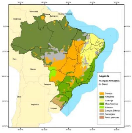 Figura 3. Abrangência geográfica das áreas contínuas e isoladas do Cerrado no Brasil (cor laranja)  Fonte: IBGE, 1993