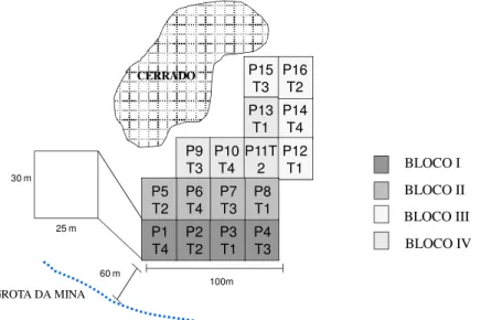 Figura 4.3. Disposição dos tratamentos silviculturais (T1 a T4, tratamentos de 1 a 4), nas  parcelas do experimento (P1 a P16, parcelas de 1 a 16), na floresta estacional semidecídua 