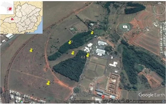 Figura 1. Área de estudo na fazenda Granja Marileuza em Uberlândia-MG, com os seis pontos  de observação demarcados: vereda (V), cerradão (C1 e C2) e mata de galeria (G) e as áreas de  pastagem (P1 e P2)