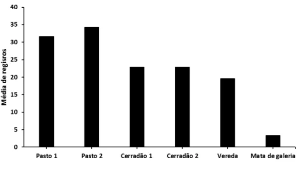 Figura 5. Média do número registros nos pontos de amostragem para as aves de rapina diurnas  no  período  de  julho  de  2016  a  março  de  2018  na  Fazenda  Granja  Marileuza,  município  de  Uberlândia- MG