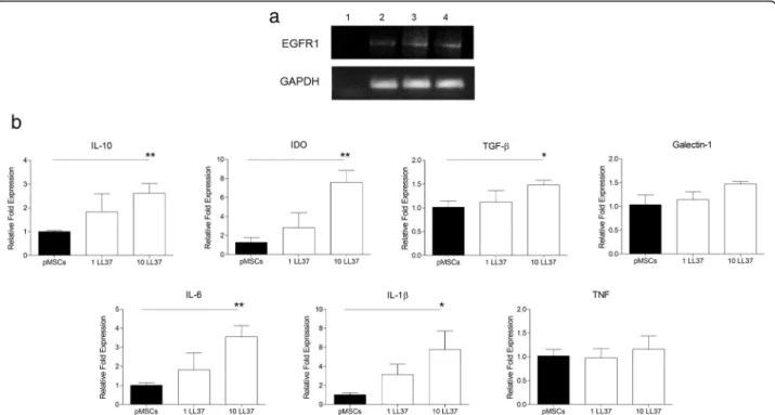 Fig. 6 Gene expression analysis of selected transcripts. pMSCs were cultured in the presence or absence of LL-37 for 2 days, and profiled by real-time PCR according to (a) LL-37 receptors (EGFR and FPRL-1) and (b) pro-inflammatory and anti-inflammatory fac