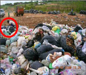 Foto 8 – Catadores da cooperativa do lixão fazem  a seleção de recicláveis na vala do lixão
