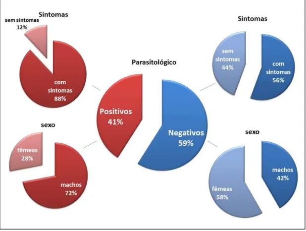 Figura  13:  Representação  gráfica  dos  valores  dos  resultados  dos  exames  parasitológicos organizados por sexo e sintomatologia 