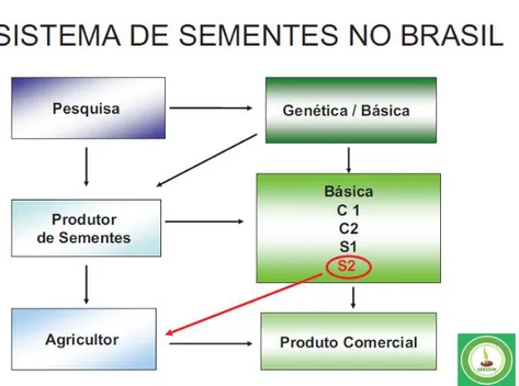 Figura 1.1  –  Sistema de Sementes no Brasil 