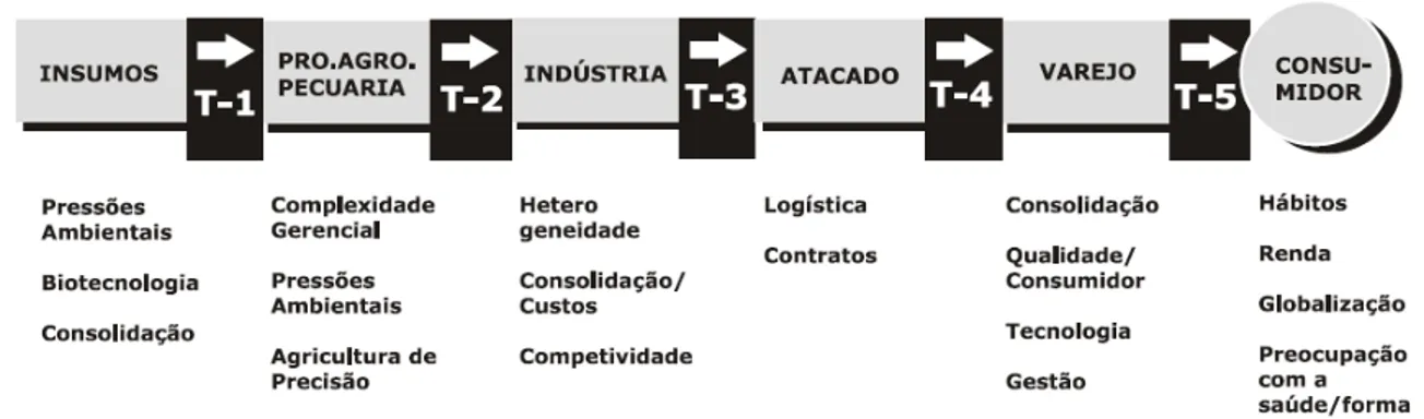 Figura 2.1  –  Modelo de SAG  –  Sistema Agroindustrial 