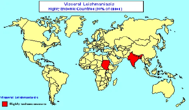 Figura 7. Países de alta endemia de leishmaniose visceral. 