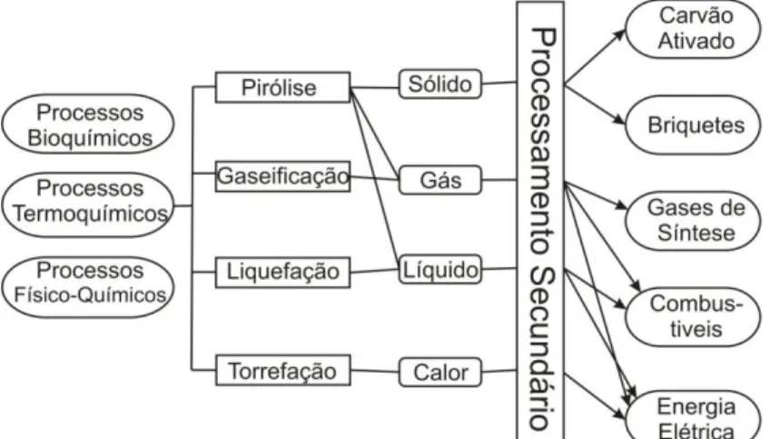 Figura 2.3 Processos Termoquímicos para a transformação da biomassa. Fonte: Gómez et al.,  2008