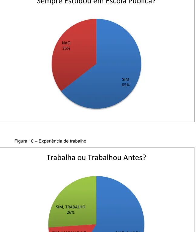 Figura 10 – Experiência de trabalho 