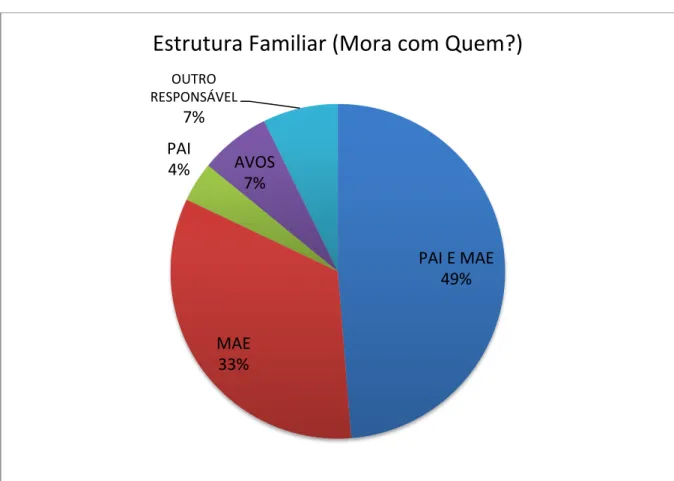 Figura 14 - Estrutura familiar 